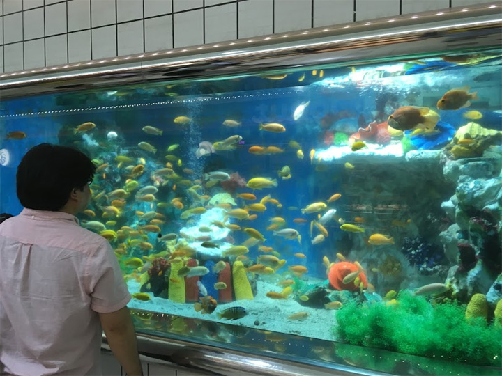 阪急三番街の水族館