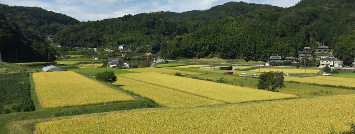 茨木市見山地区